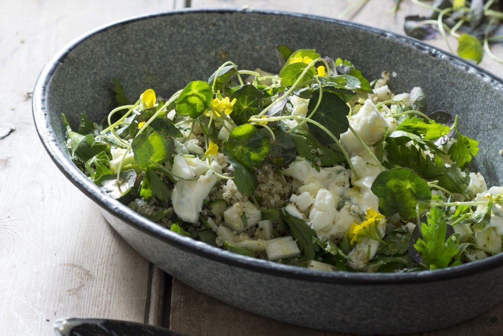 New Feast_quinoa and tarrogan salad -179 copyforweb